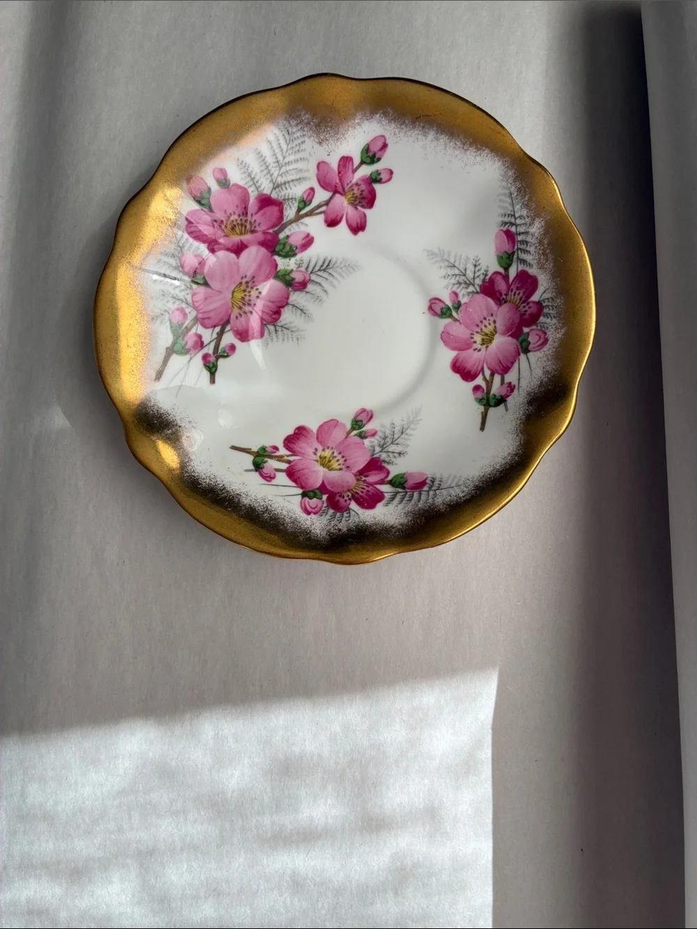 Queen Anne Bone China saucer